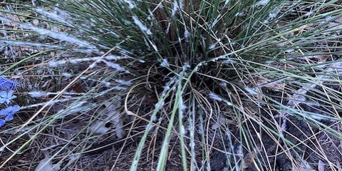jaxdotcom's tweet card. Yes, it's hot outside. And it's easy to give up on your garden and retreat to the comfort of the indoors. But don't ignore your yard.