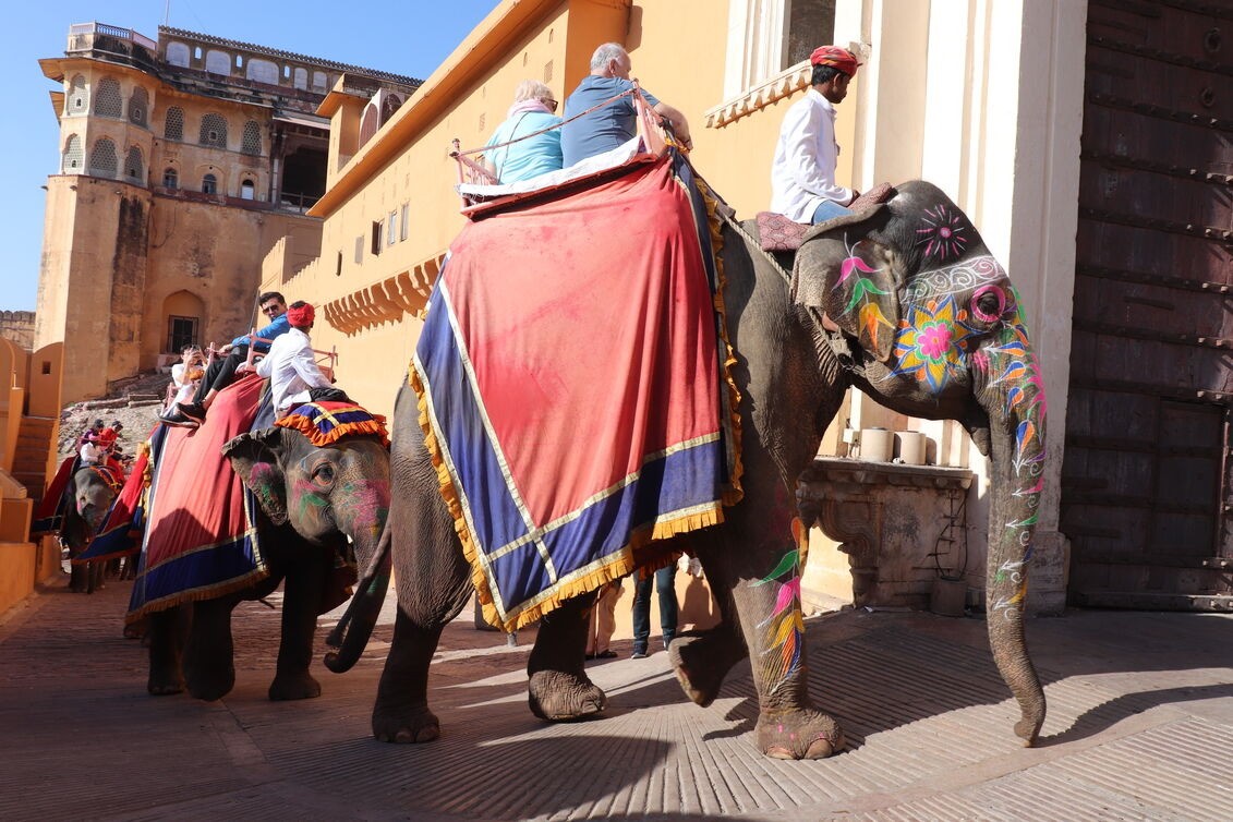 Action4ElliesUK's tweet card. Guest blog on ethical elephant tourism and its dark side. Susye Weng-Reeder, Google Verified Internet Personality & author, guest blogs for Action for Elephants UK on why elephant bathing harms wild...