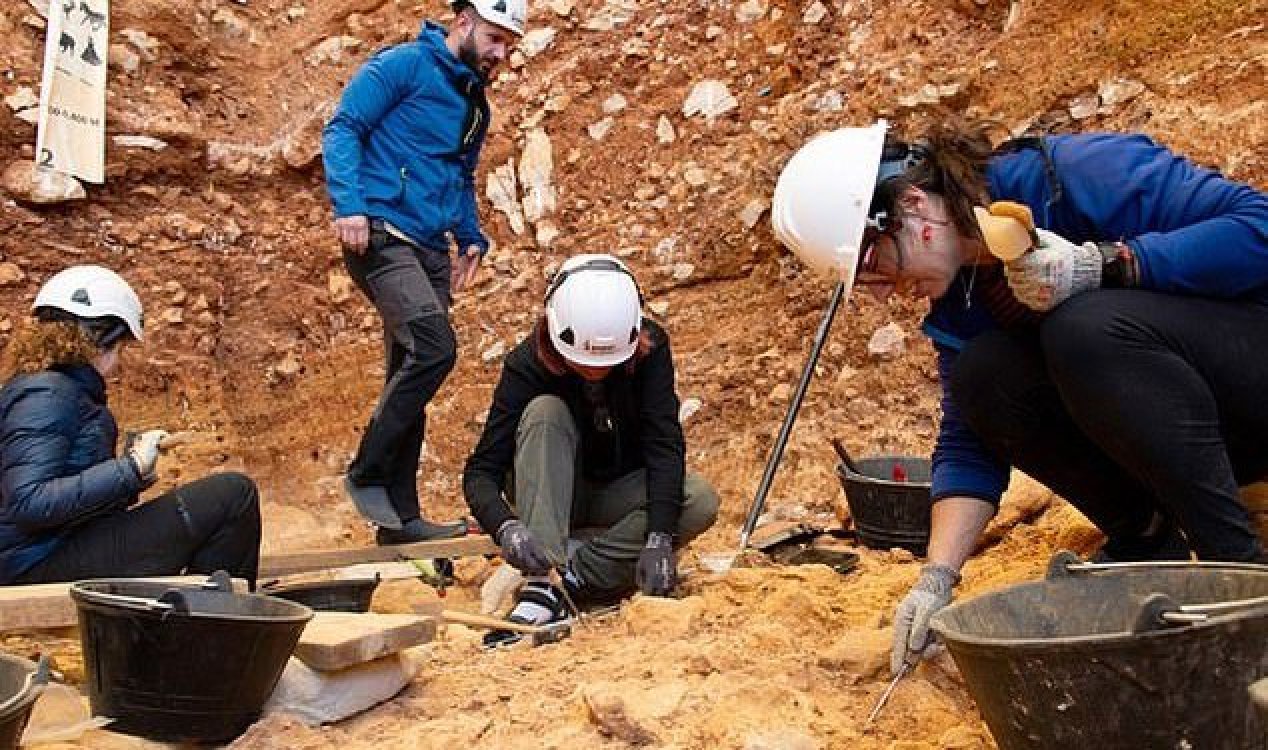 unexplainedmys's tweet card. Evidence of human cannibalism has been found in fossilized bones dating back 850,000 years.