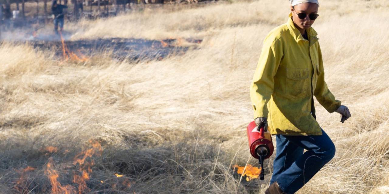 mcjomcg's tweet card. Planned burns rid properties of vegetation that can send wildfires racing across the landscape.