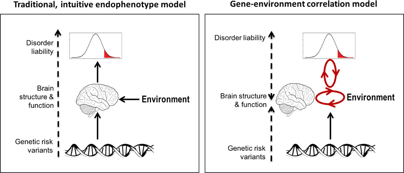 ESprooten's tweet card. Molecular Psychiatry - The P-factor and its genomic and neural equivalents: an integrated perspective