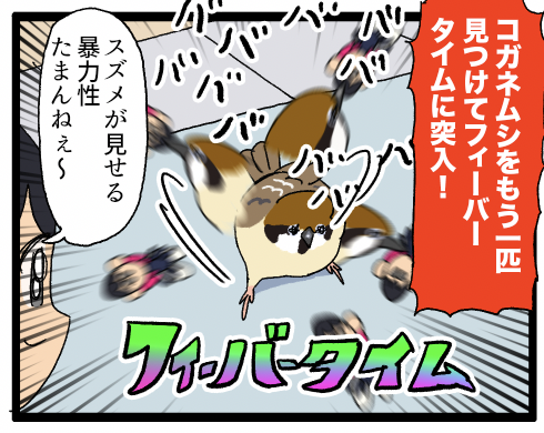 lpo_on's tweet card. 虫に夢中になってるスズメって、こっちに投げ飛ばしてくるから本当に怖い みんな近づかないように・・・・・おっこっちにもコガネムシおる♪じゃないんだよなぁ2年前にもスズメに同じことをされた ▼野鳥のまんが ぼやき心地よい痛み………………ではない！！！▼クリックよ