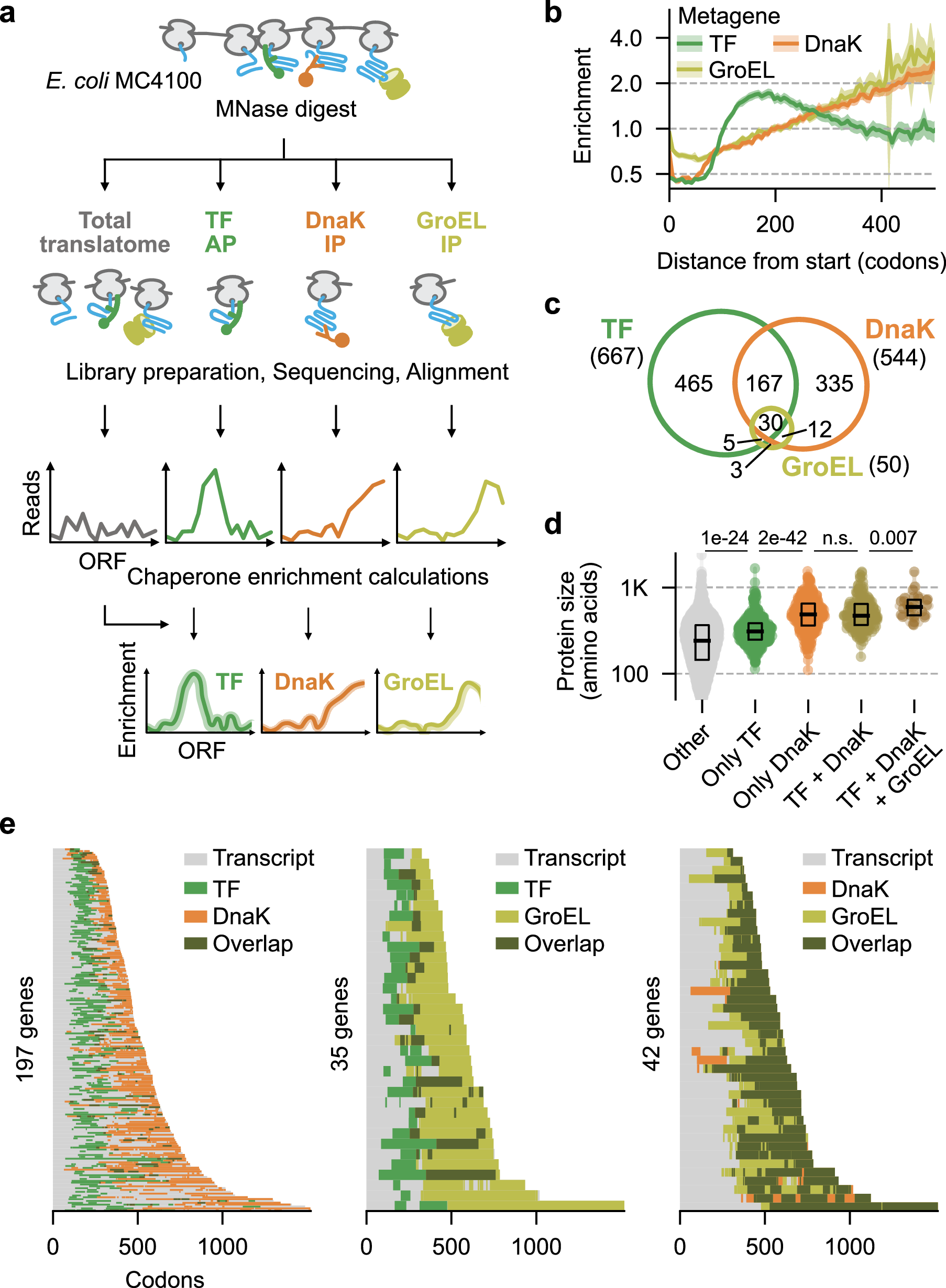 gal_cvg's tweet card. Nature Communications - This study integrates ribosome profiling, single molecule methods and computational predictions to reveal that molecular chaperones bind ‘unsatisfied’ residues...