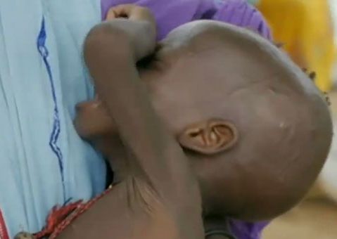 westernpost_ng's tweet card.   A medical charity, Doctors Without Borders (MSF) has said more than 600 malnourished children have died in northern Nigeria in six months after failing to receive proper care as foreign aid dries...