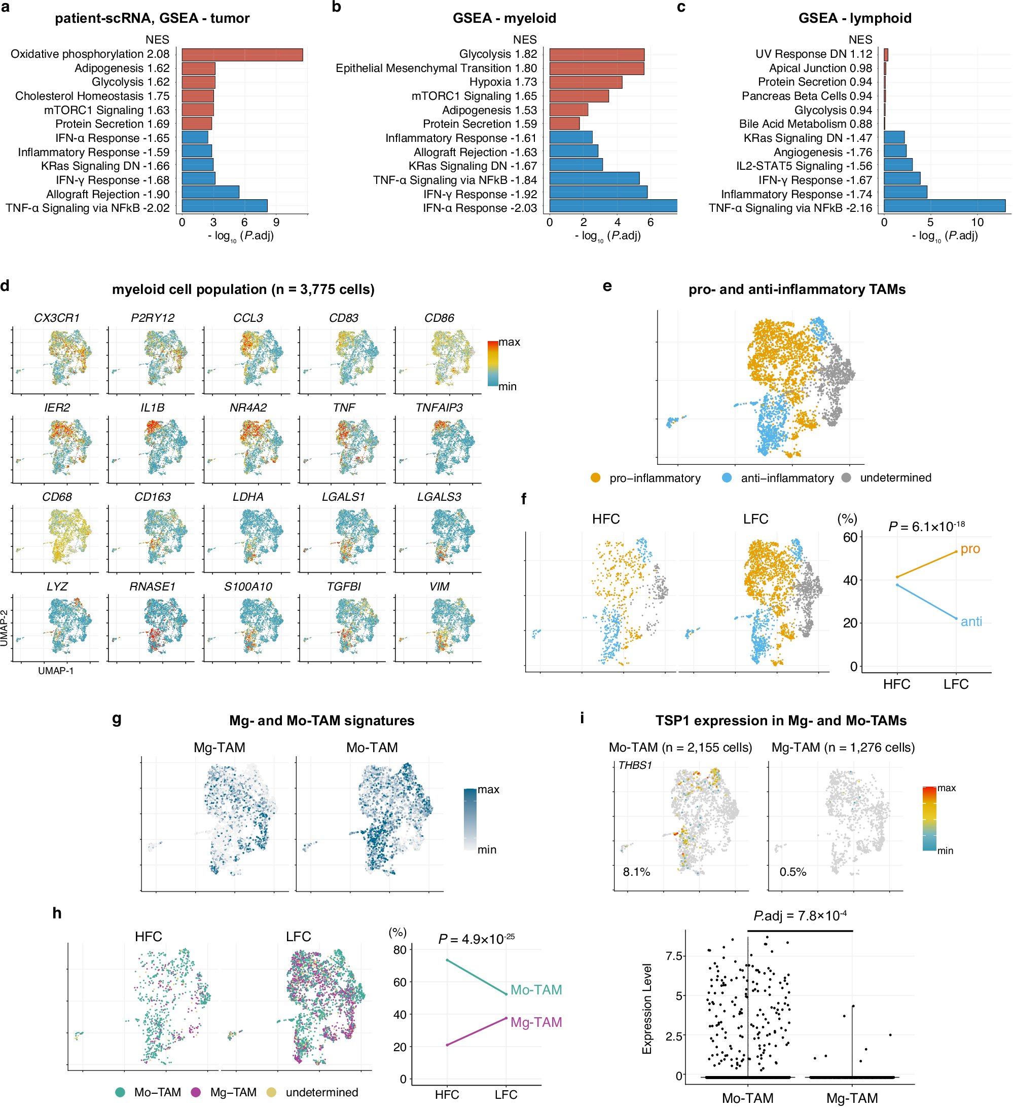 Brain_Database's tweet card. Nature Communications - Immunotherapy has yet to demonstrate efficacy for patients with glioblastoma. Here, the authors employ human single-cell RNA-seq, spatial transcriptomics, and a preclinical...