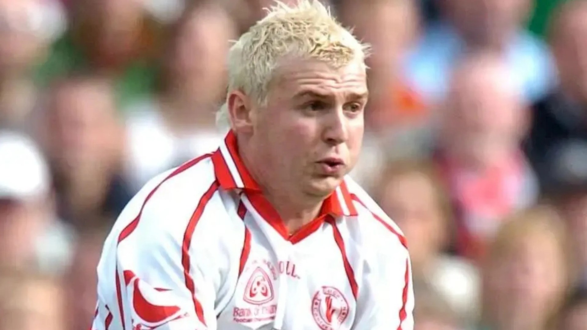 moseyb86's tweet card. ERIC CANTONA, dogs and the Dubs, bleached hair and revenge. Hill 16, Owen Mulligan and one of the­ greatest Croke Park goals of all time. Two decades have passed since Tyrone’s icon terrorised the …