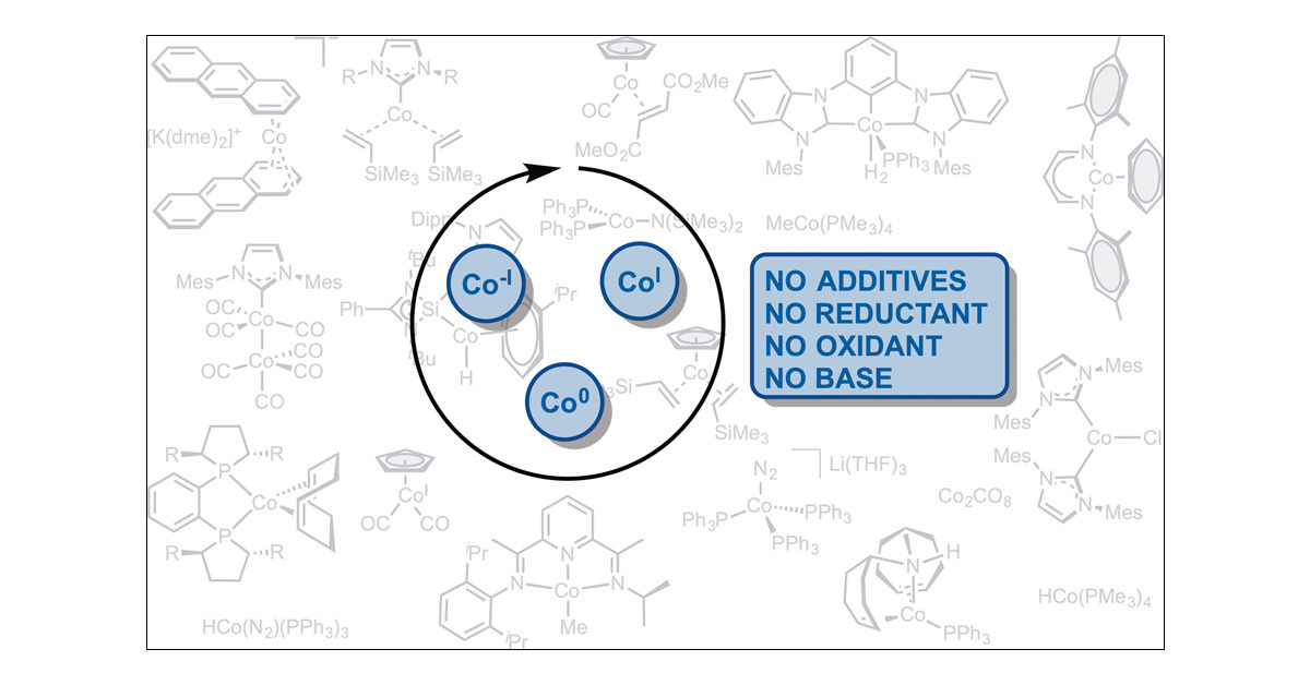 CassandreBories's tweet card. For decades, transition-metal catalysts based on noble metals have proven to be highly efficient for a wide range of organic transformations. However, due to their low abundance and highly volatile...