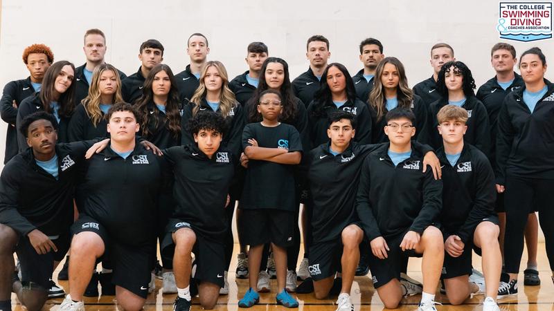 CSIDolphins's tweet card. It was announced earlier this week that the College of Staten Island Swimming & Diving Team has been named to the College Swimming and Diving Coaches Association of America (CSCAA) Scholar All-Amer...