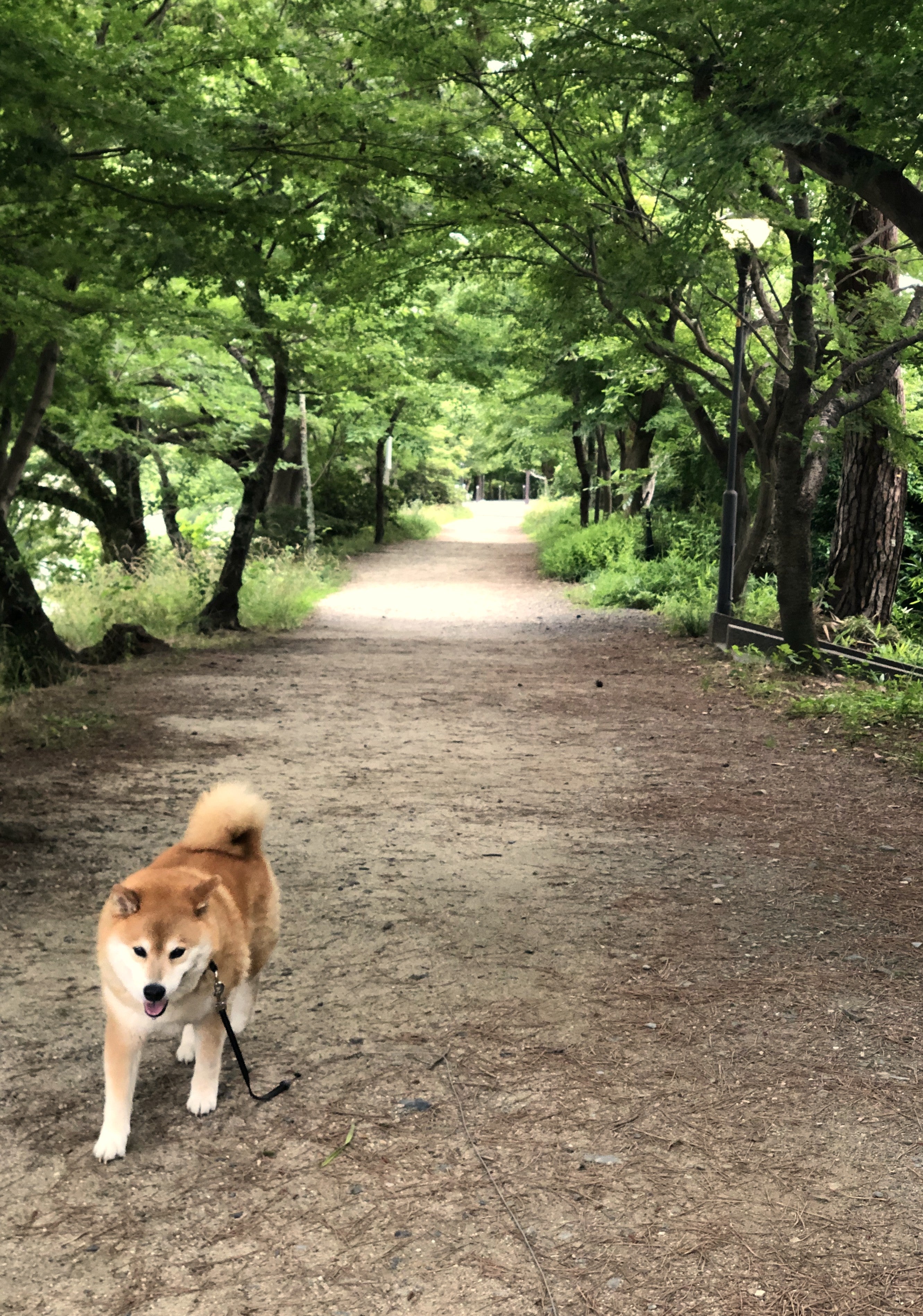 marutaro2000's tweet card. 銀座の写真展にお父さん役のカイキくんが来てくれたっていっそげ～～～  いたー！久しぶりだね！なんだかまだまだ若々しいね～  でも急にどったの？え？まるとパパに…