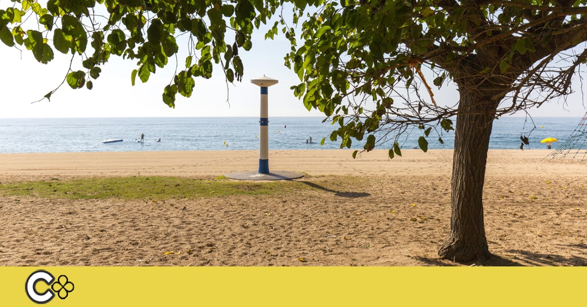 CalellaCOM's tweet card. Les platges dels Pins, a Pineda de Mar; de Sant Pol i del Morer, a Sant Pol de Mar, i del Cavaió, a Arenys de Mar, són les més afectades del Maresme pel canvi climàtic, segons Greenpeace, així com la...