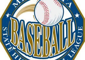 FLBaseballMN's tweet card. Baseball Section 7AAAA Tournament
