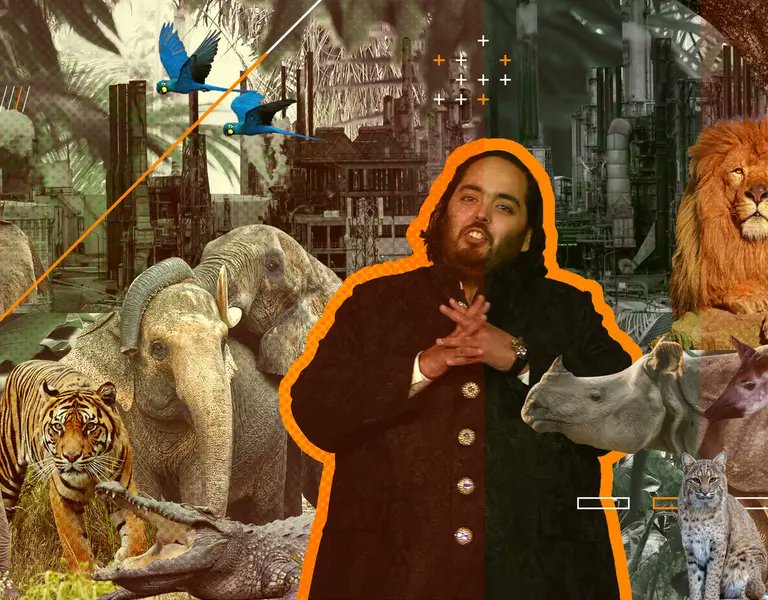 anweshadatta's tweet card. Led by Anant Ambani and supported by the Indian government, Reliance’s effort to shelter abused elephants has transmuted into an enormous wildlife centre – raising concerns over the sourcing of...