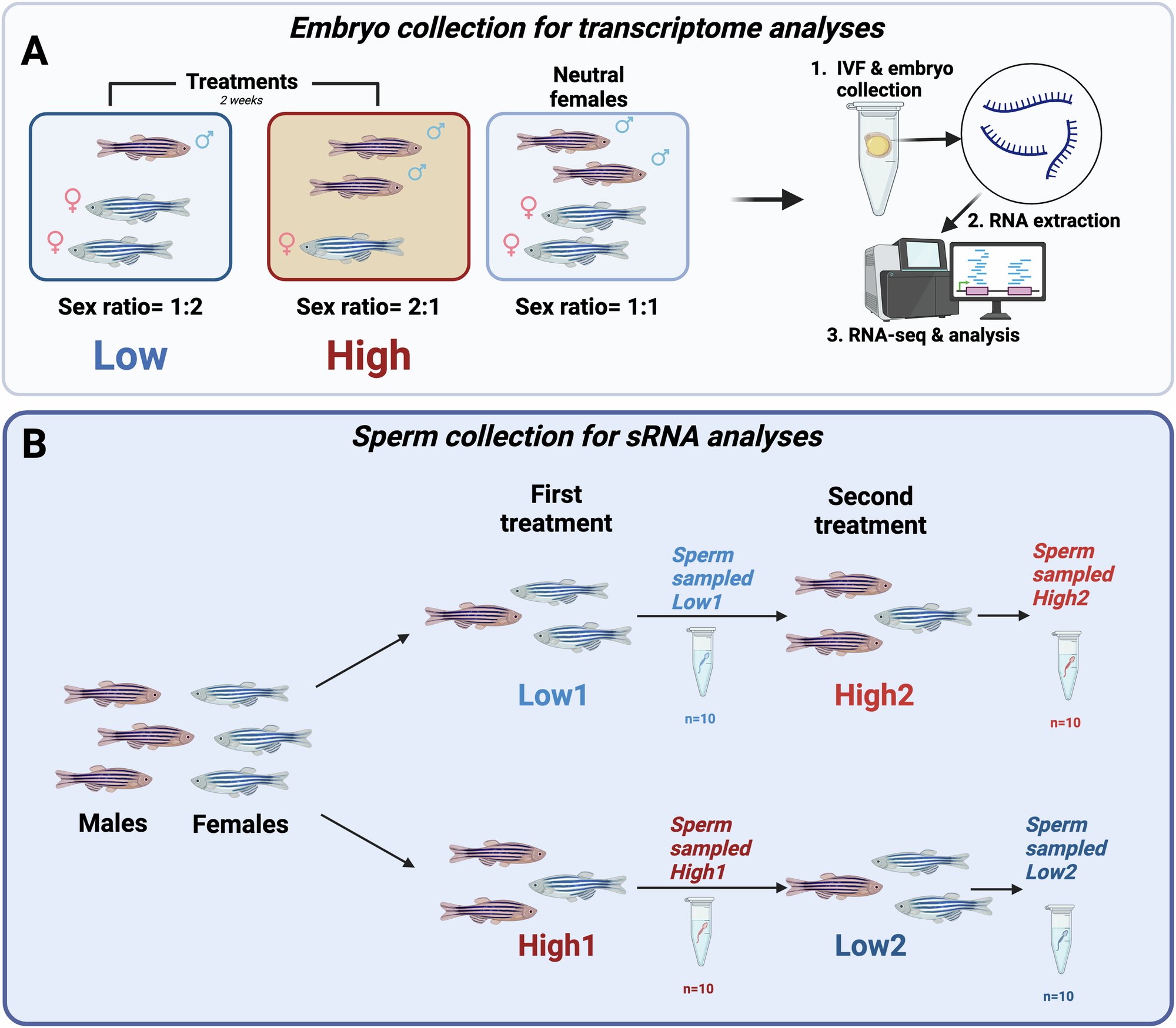 HeredityJournal's tweet card. Heredity - Environmentally induced variation in sperm sRNAs is linked to gene expression and transposable elements in zebrafish offspring