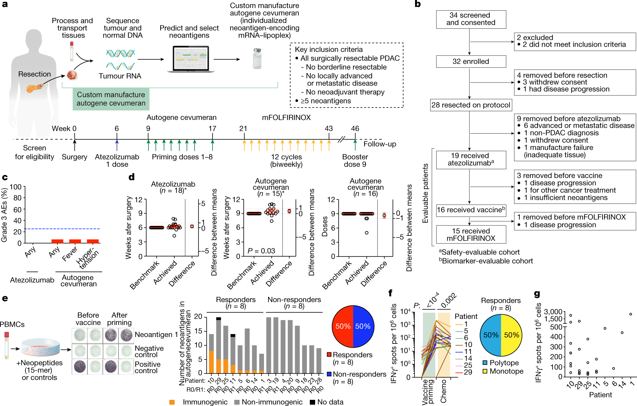 mvicaracal's tweet card. Nature - A phase I clinical trial of an adjuvant personalized mRNA neoantigen vaccine, autogene cevumeran, in patients with pancreatic ductal carcinoma demonstrates that the vaccine can...