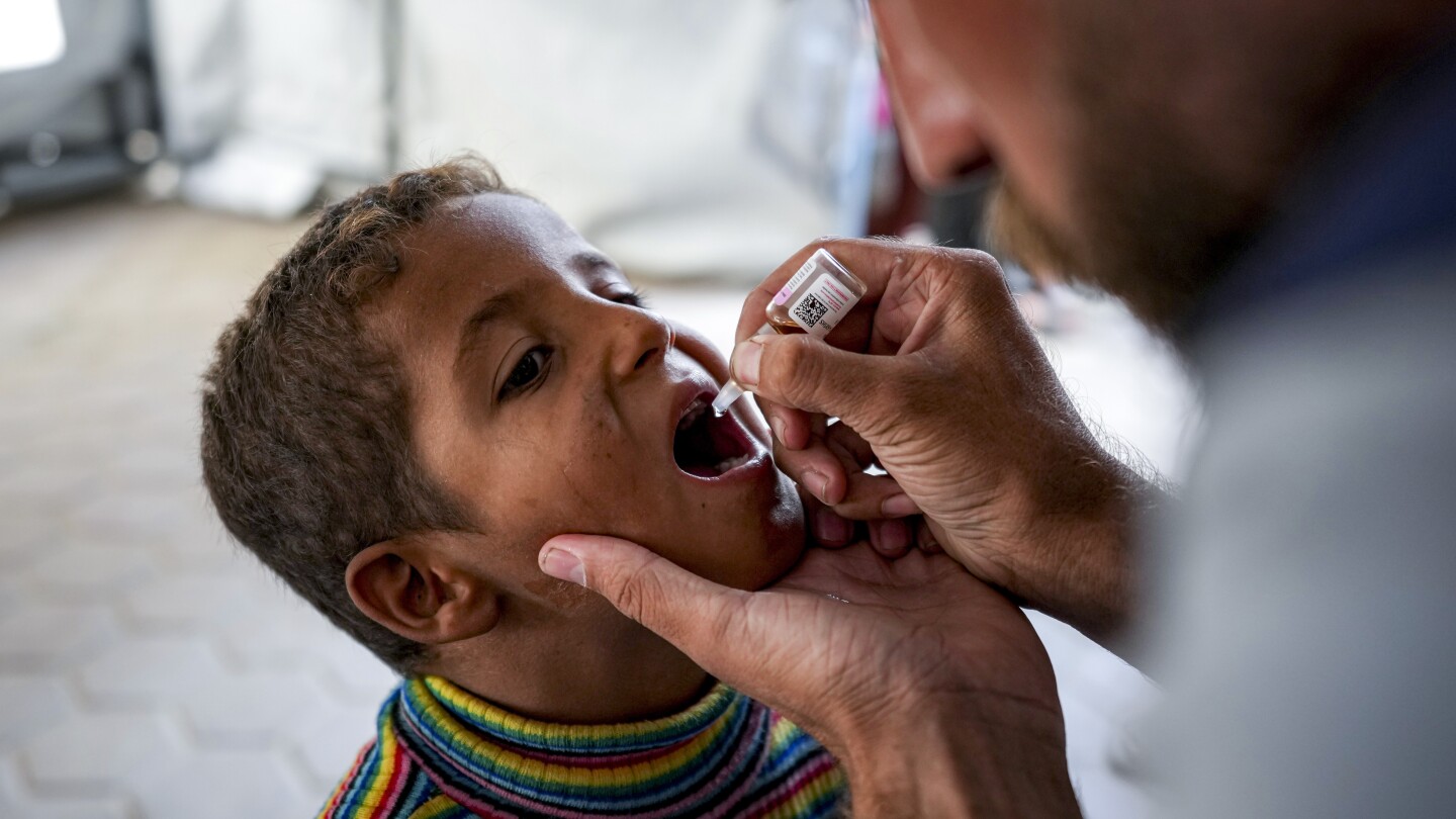 Sneakyphasmid's tweet card. Palestinian health authorities and United Nations agencies have begun a large-scale campaign of vaccinations against polio in the Gaza Strip.