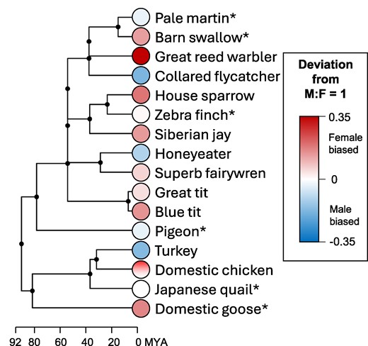 MolBioEvol's tweet card. Abstract. Meiotic recombination through chromosomal crossing-over is a fundamental feature of sex and an important driver of genomic diversity. It ensures