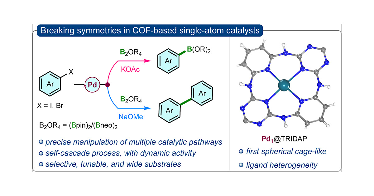 VileGroup's tweet card. The development of single-atom catalysts (SACs) with site-specific and tunable catalytic functionalities remains a highly desirable yet challenging goal in catalysis. In this study, we report a SAC...
