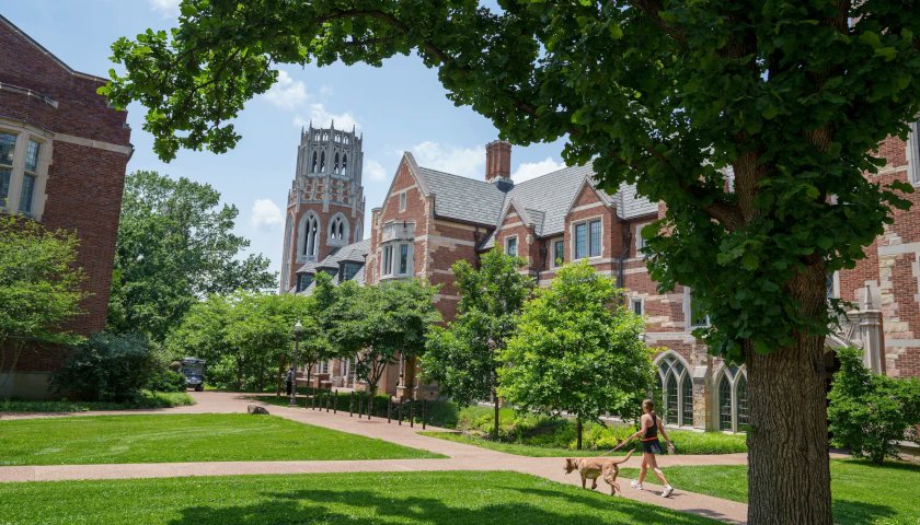 TheTNStar's tweet card. Vanderbilt University on Friday confirmed it is investigating the video published by Townhall, which appears to show a staff member describing an intentional effort to conceal its Diversity, Equity,...