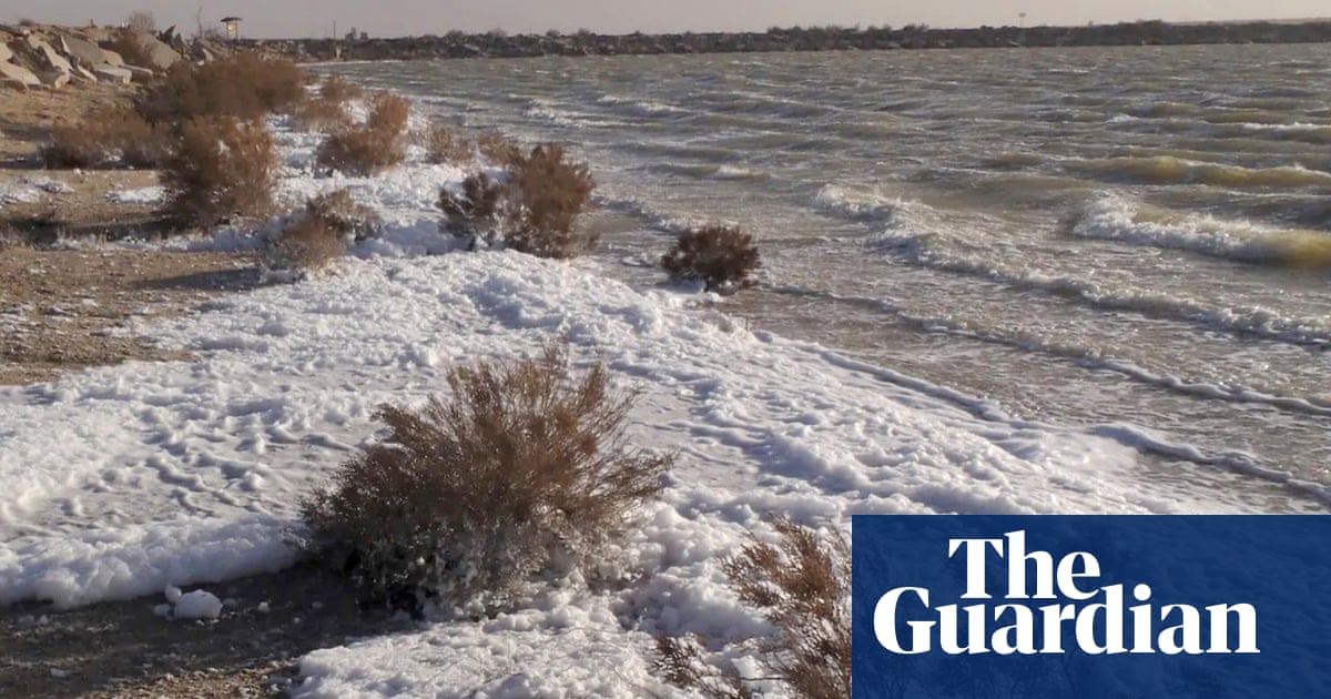 EnviroAction's tweet card. Holloman Lake was a haven for wildlife and seemed an ideal campsite. But strange foam around the shoreline turned out to be more than just an oddity – and reveals the alarming way forever chemicals...