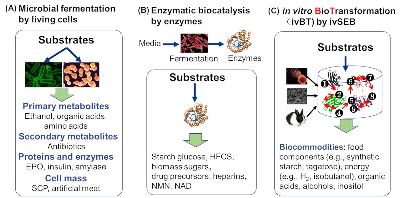 Syn_Bio_Eng's tweet card. Great needs always motivate the birth and development of new disciplines and tools. Here we propose in vitro BioTransformation (ivBT) as a new biomanufacturing platform, between the two dominant...