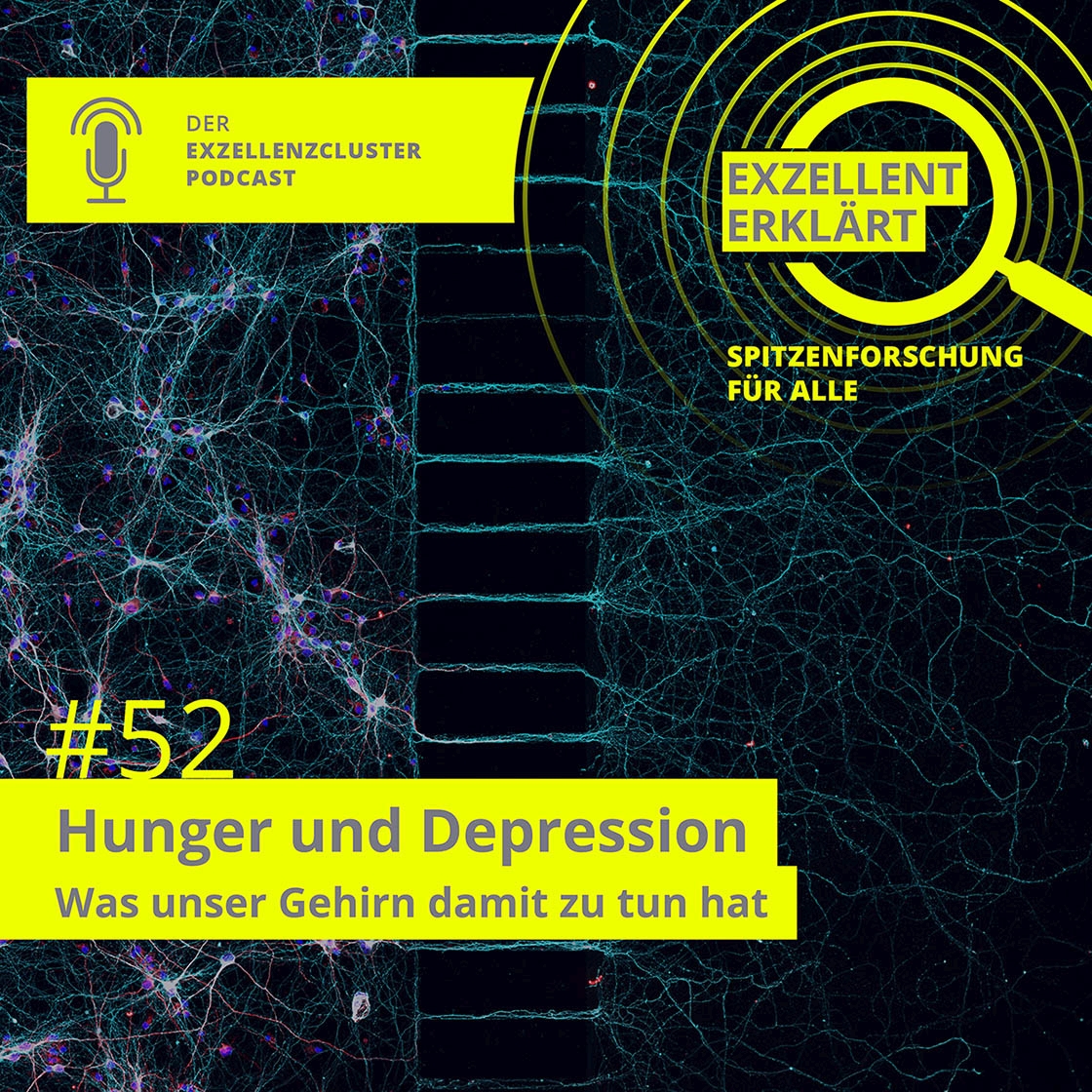 CECAD_'s tweet card. Unser Gehirn steuert und beeinflusst Prozesse und Krankheiten in mehr oder weniger höherem Maße, das ist seit Jahren bekannt. Unter diesem Aspekt wird die Forschung am CECAD zu zwei Krankheiten näher...