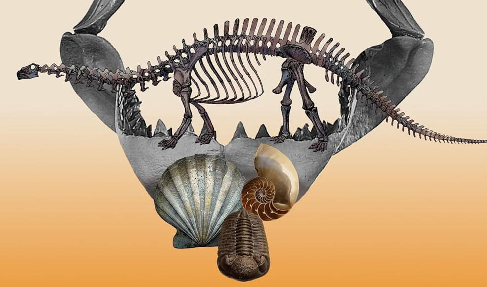 pcart's tweet card. Click for more on 'Macroevolutionaries'