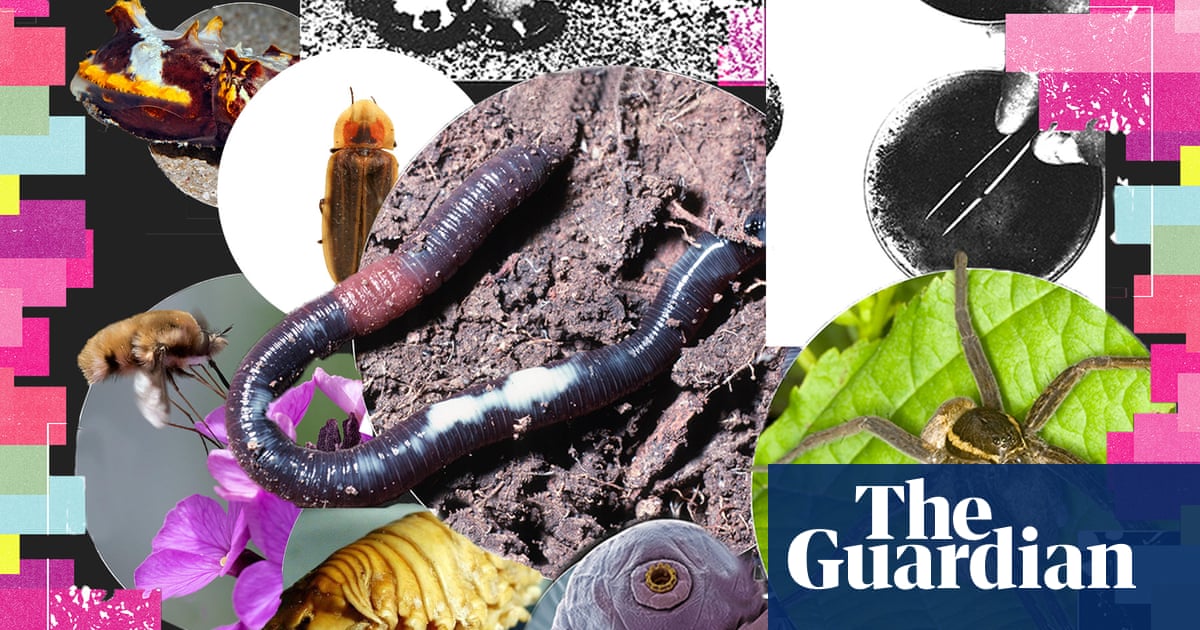ntusbs's tweet card. Sanger Institute’s Tree of Life team say genomes offer invaluable insight into how species will fare under climate crisis