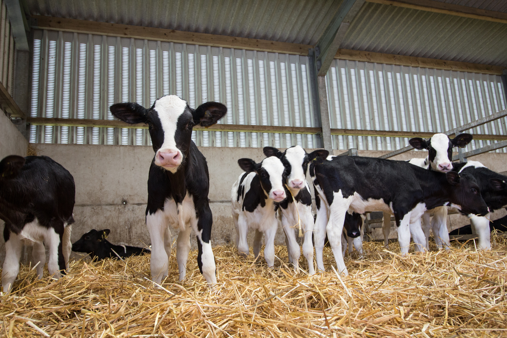 scottishfarmer's tweet card. This September, leading veterinary experts, academics, and farmers will come together to deliver a practical, farmer-focused webinar series…