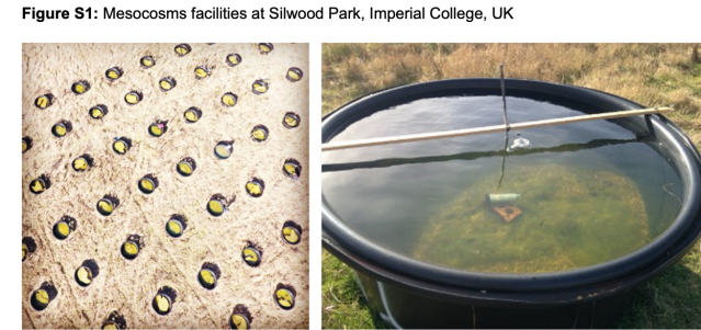 EcoSAGElab's tweet card. We are very happy to announce a new paper from the Ring of Fire project (NERC NE/M020843/1 and NE/M02086X/1), led by Professor Guy Woodward at Imperial College London. Published in Communications B…