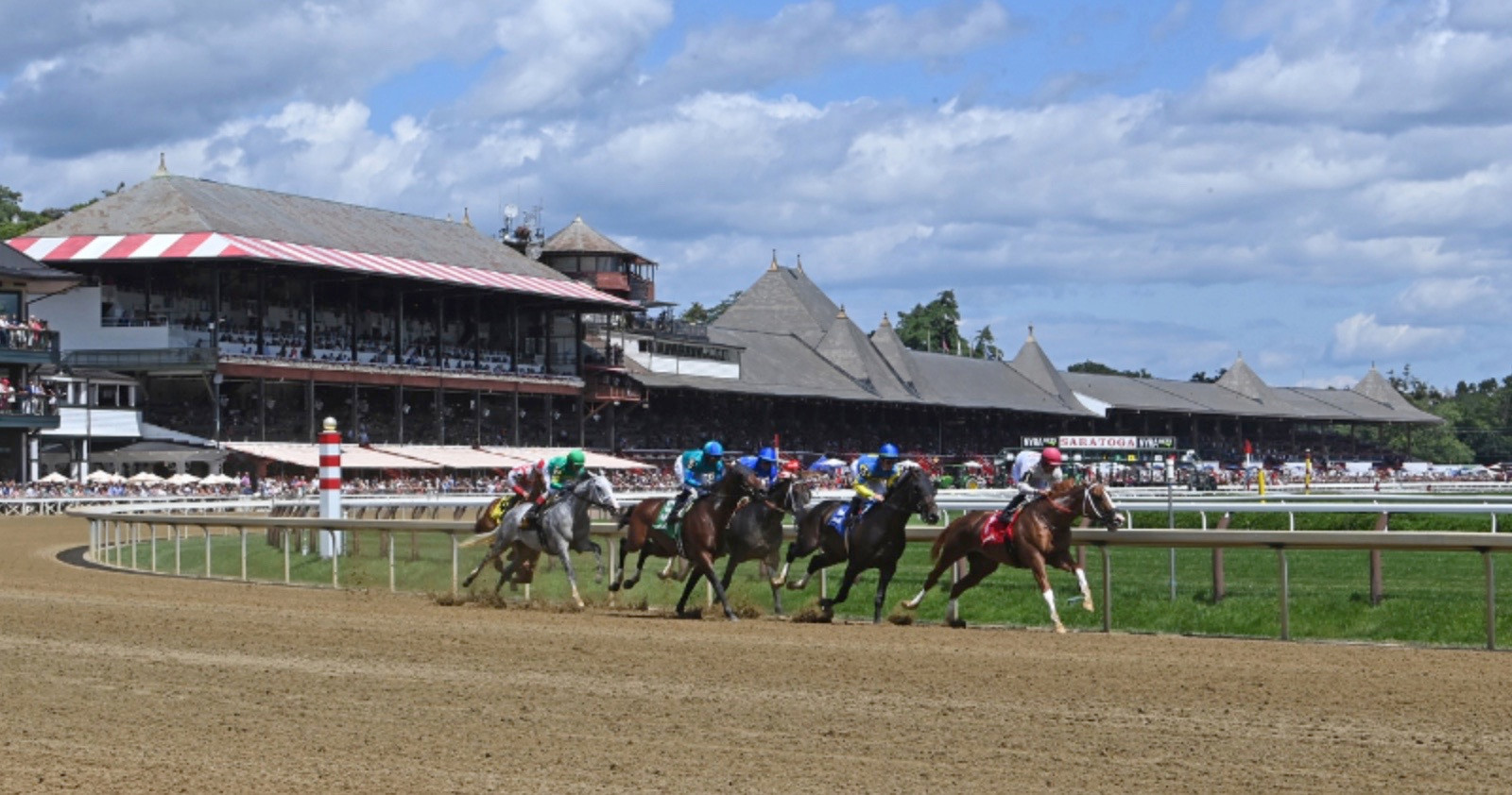 _TurtleSports's tweet card. Happy Saturday & National Pecan Pie Day! We're back in action and ready to cash some tickets with the NYRA! That's right, we're staying in New York and playing the ponies at Saratoga. This weekend...
