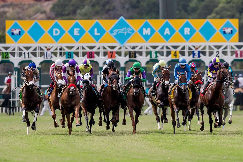 _TurtleSports's tweet card. Happy Saturday & National Coffee Milkshake Day! 🧋We are back on the track and ready to cash some tickets. We are staying close to home again and heading to sunny San Diego to play the ponies from...
