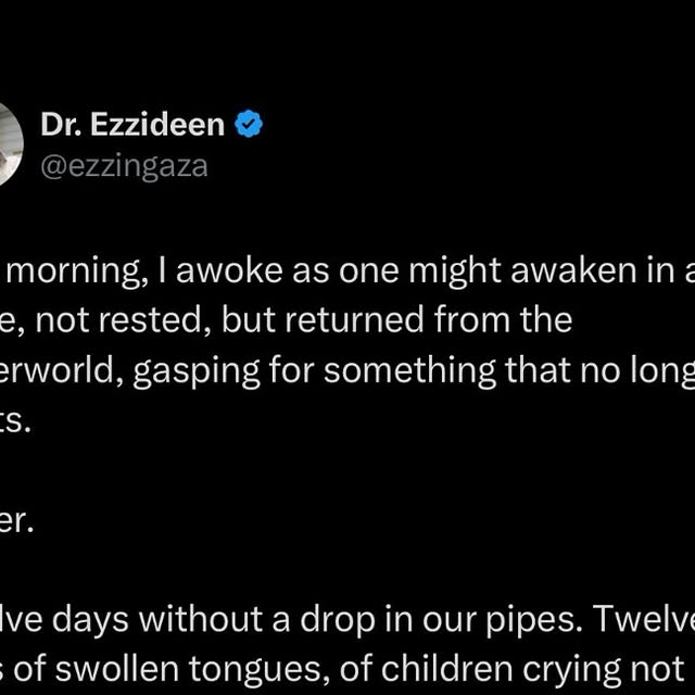 TheGuyPearce's tweet card. Ezzideen Shehab (@ezzideenshehab) • Instagram photos and videos