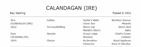 BreednetNews's tweet card. Aga Khan Studs don’t race a lot of geldings, but one that they do is Calandagan, who made it back to back G1 wins overnight when beating a select field in a tactical battle to win the Group I King...