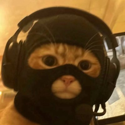 Habiboooo4's tweet card. Catwifmask is an original meme from the Counter-Strike (CS) era, featuring a cat wearing a mask and headset, blending gaming culture with humor. This iconi