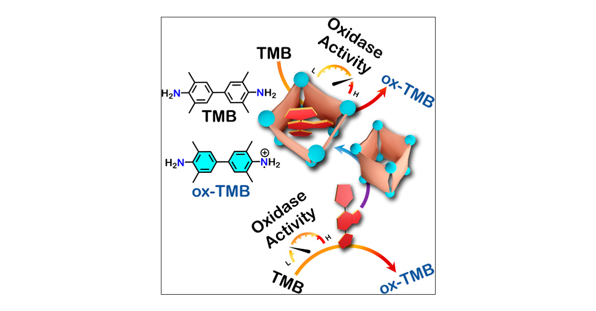 psm_lab's tweet card. The effect of host–guest interactions on the chemistry of encapsulated molecules is a fascinating field of research that has gained momentum in recent years. Much of the work in this field has been...