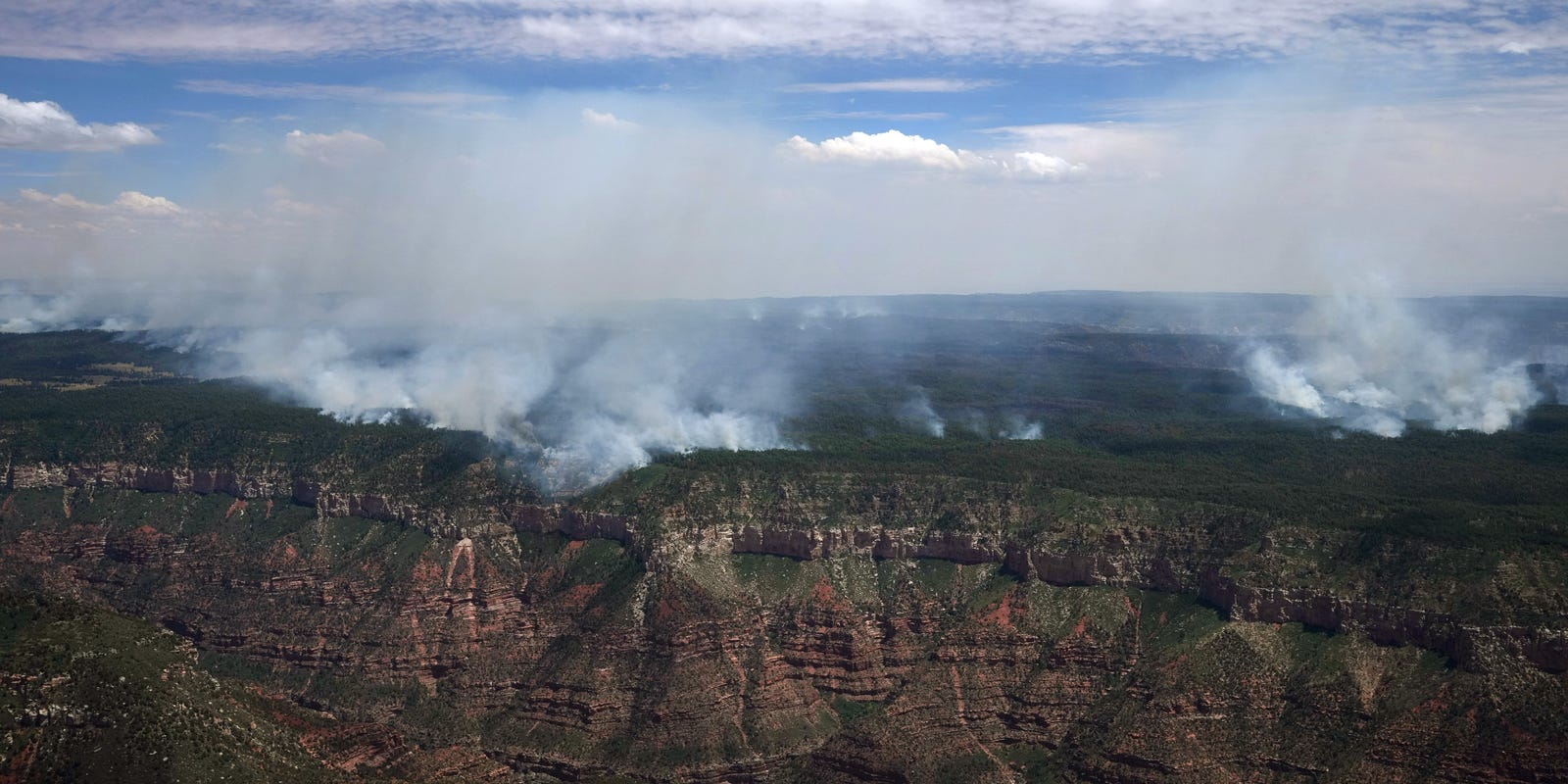 ReyCJrAZ's tweet card. The White Sage and Dragon Bravo wildfires have burned over 94,000 acres in northern Arizona, but the bigger of the two has been largely contained.