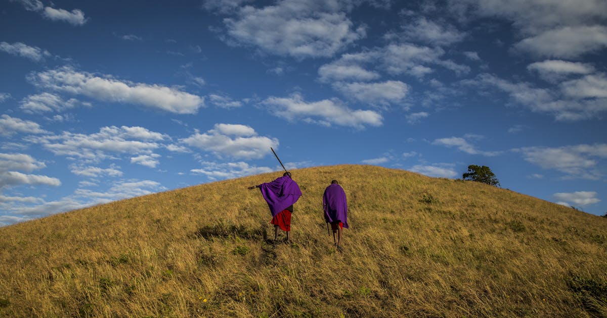 ConservationOrg's tweet card. On International Day of the World’s Indigenous Peoples, Conservation News is highlighting three stories about Indigenous peoples on the frontlines of protecting the nature they rely on.