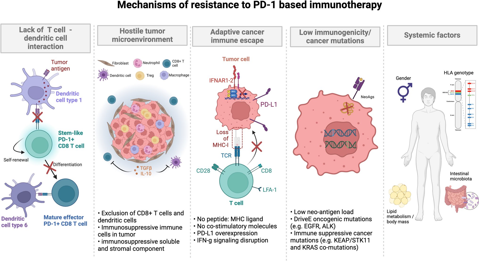 BioDrugsJournal's tweet card. BioDrugs - Immunotherapy with checkpoint inhibitors has become the cornerstone of systemic treatment for non-oncogene addicted non-small-cell lung cancer. Despite its pivotal role, a significant...