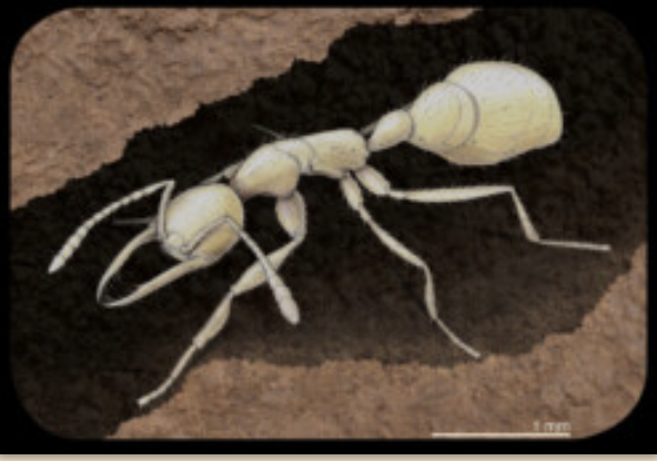 pupating's tweet card. In this episode of Writer’s Voice, entomologist and author Barrett Klein discusses his book, The Insect Epiphany: How Our Six-Legged Allies Shape Human Culture. From the crucial roles insects play …