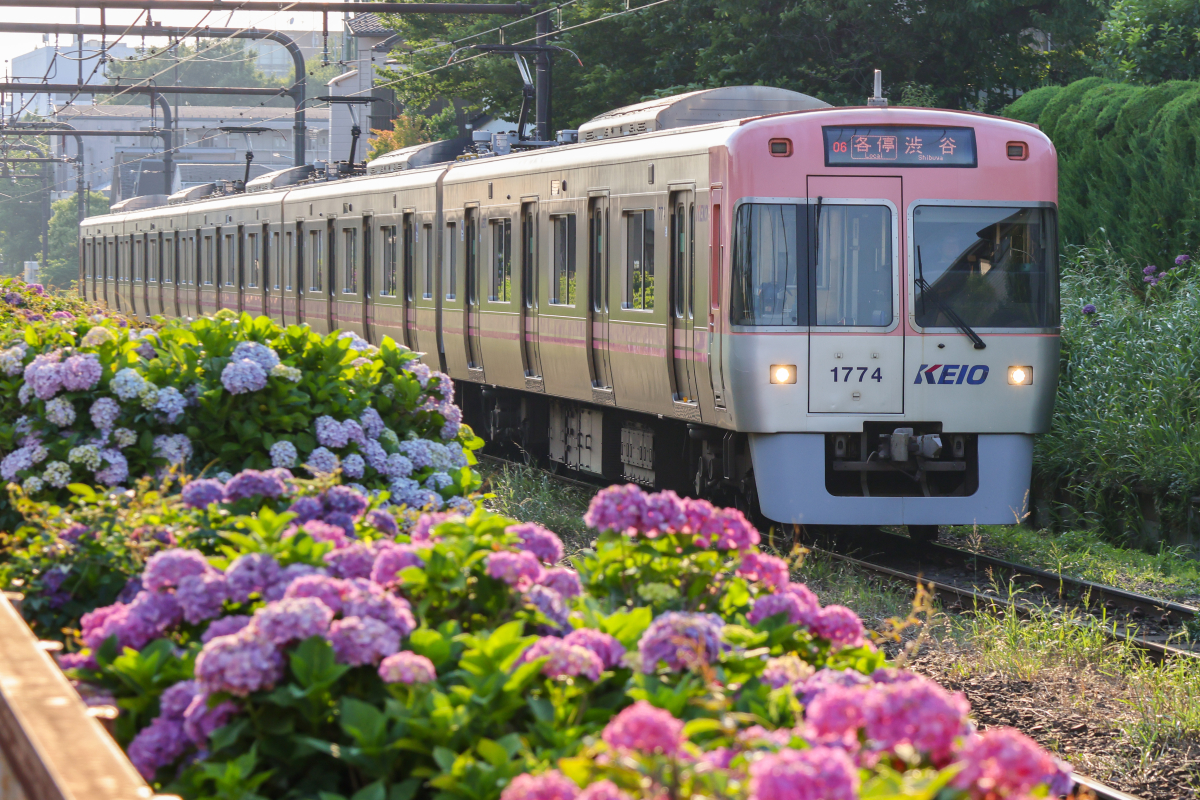 RailLabNews's tweet card. “そんな時代もあったなあ“と回想し楽しんでもらう【鉄道 何の日 今週は？】。鉄道史に残る、デビューや引退、路線...