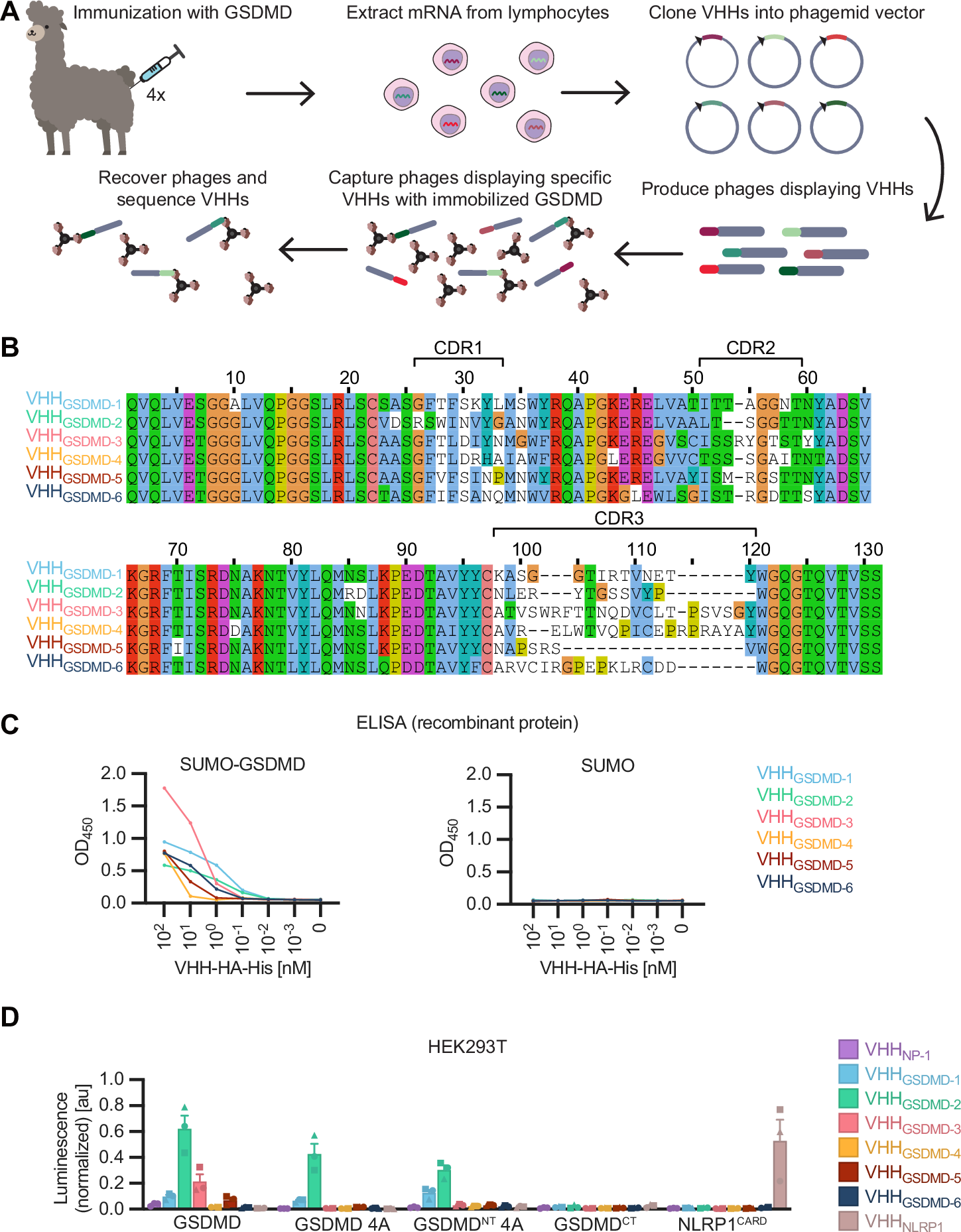 FISchmidtLab's tweet card. Nature Communications - Inflammasome assembly promotes the cleavage and oligomerisation of gasdermin D (GSDMD) and subsequent pore formation. Here the authors raise nanobodies to human gasdermin...