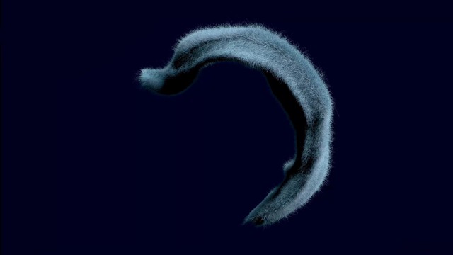 BlueBrainPjt's tweet card. Scientists at EPFL’s Blue Brain Project, together with collaborators and contributors all over the world have developed the largest and most detailed computational models of rat hippocampal and...