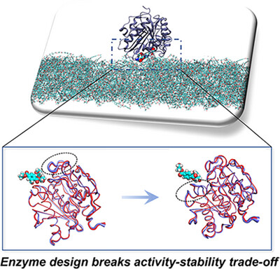 shozeb_haider's tweet card. Enzymatic degradation of poly(ethylene terephthalate) (PET) has emerged as a promising strategy for sustainable plastic recycling. This study systematically elucidates the catalytic pathway of PET...