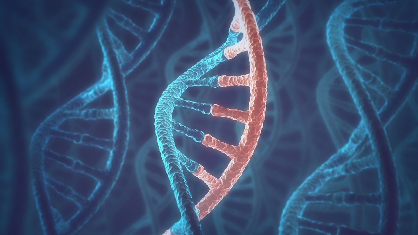 DjuranovicLab's tweet card. Our mission is to advance RNA science through fundamental discovery, technology development, and translational impact that accelerates life-changing health solutions.