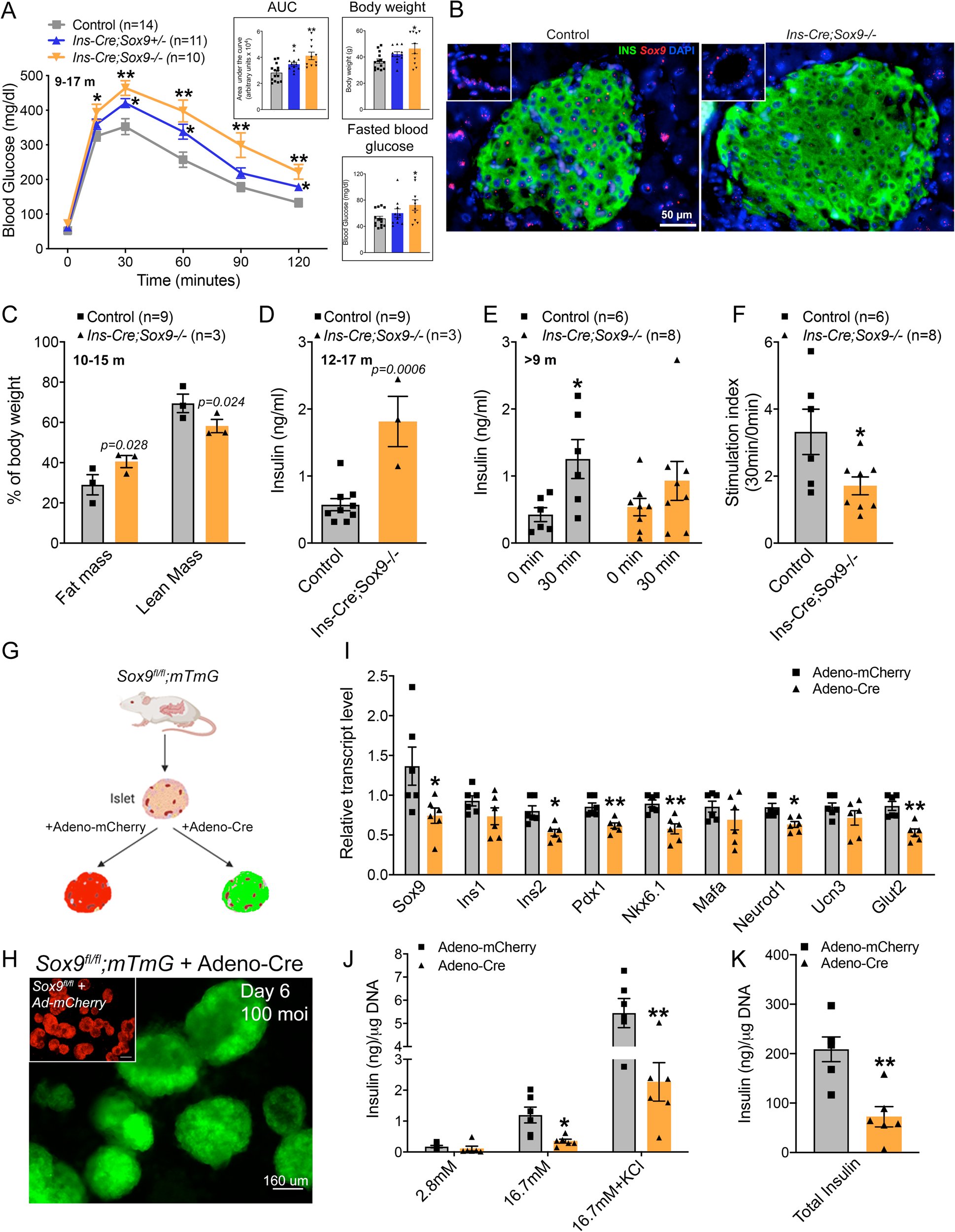 HebrokLab's tweet card. Nature Communications - Sox9 is a well-known transcriptional regulator of embryonic pancreas and endocrine cell development. Here, the authors show that loss of Sox9 in mature beta cells disrupts...