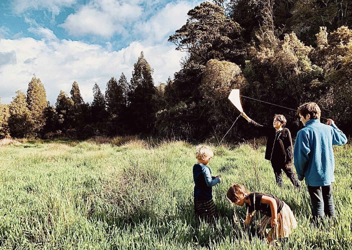 DailyTelegraph5's tweet card. Averil Drake explores how modern schooling suppresses critical thinking and why true learning demands educational reform.