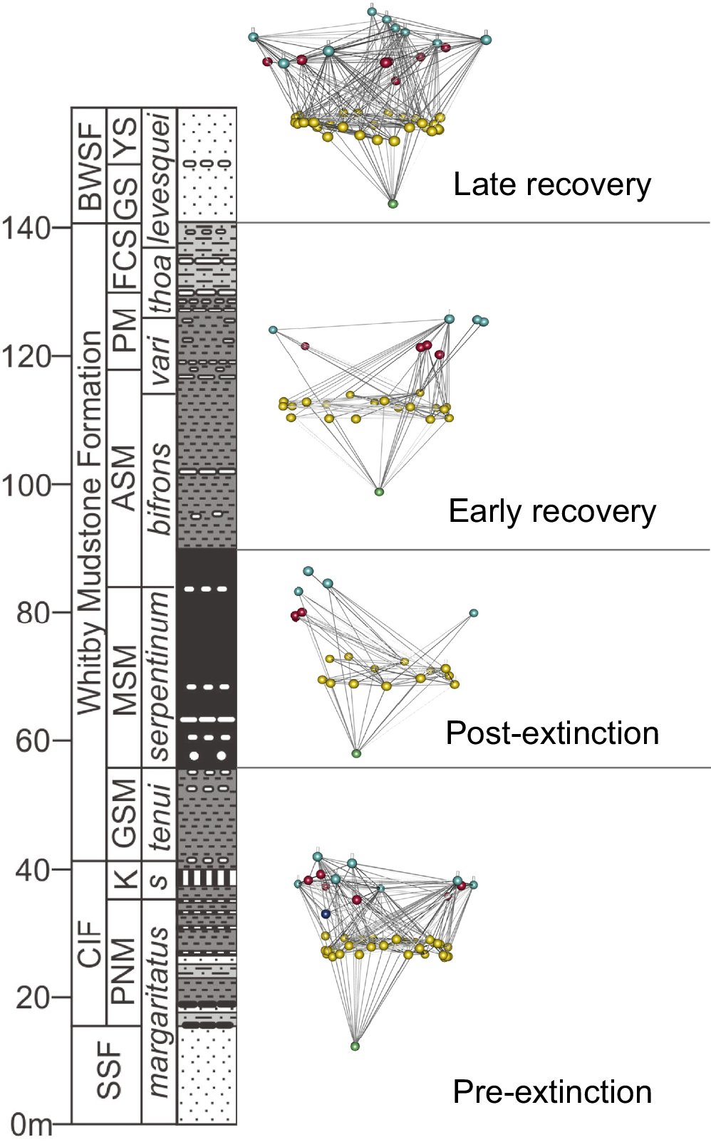 AlexDunhill's tweet card. Nature Communications - Mass extinctions have repeatedly restructured communities through geological time, but biotic interactions are rarely considered in investigations of extinction dynamics and...
