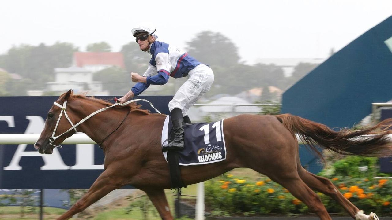 Punters's tweet card. J-Mac piloted her to a big win in New Zealand, plus she has the all-important 'G1 win' in her locker - hence why the bids are rising fast.