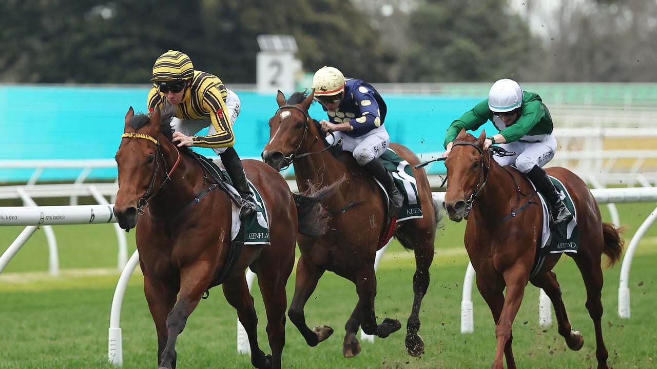 Punters's tweet card. Horse to forgive and forget, plus a couple we'll leave up to you, following Saturday racing at Randwick and Caulfield on July 26.