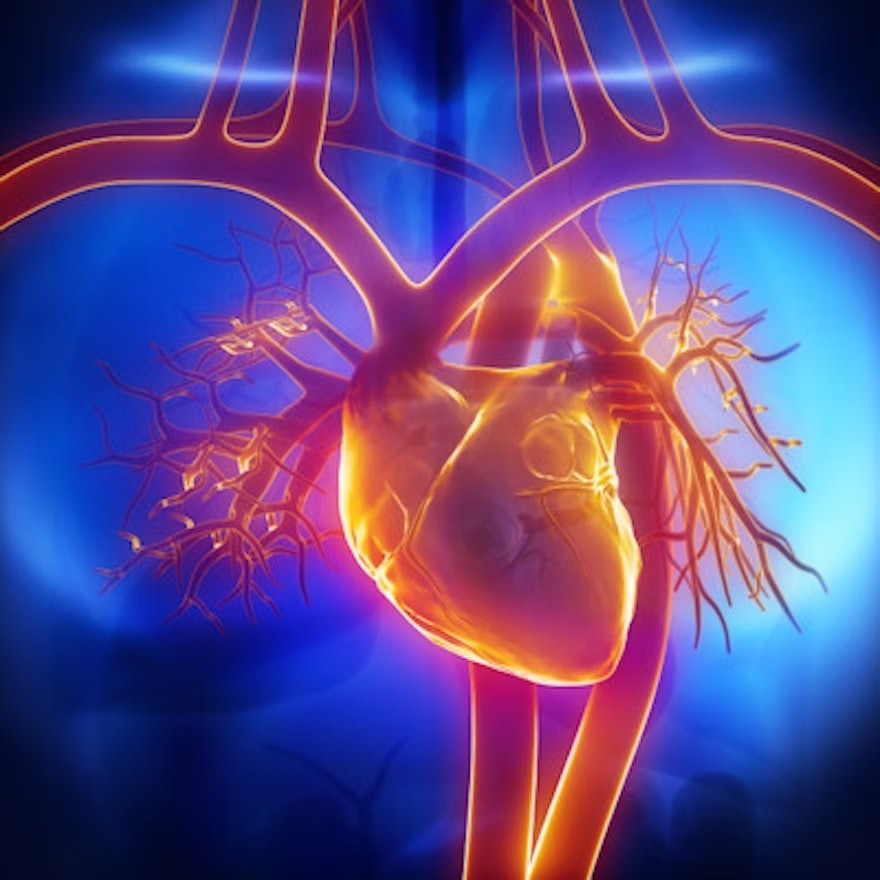 hhask's tweet card. Coronary CT angiography (CCTA) showed high concordance with invasive coronary angiography.